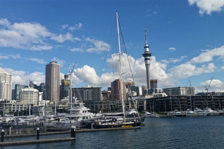 Der Hafen von Auckland mit Sicht auf die Skyline