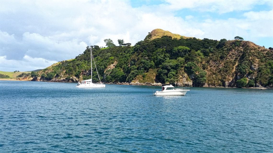 Bay of Islands Boote